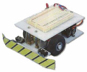 robotdebutant.jpg (10523 octets)