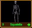 bones.jpg (6847 octets)